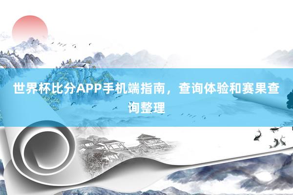 世界杯比分APP手机端指南，查询体验和赛果查询整理